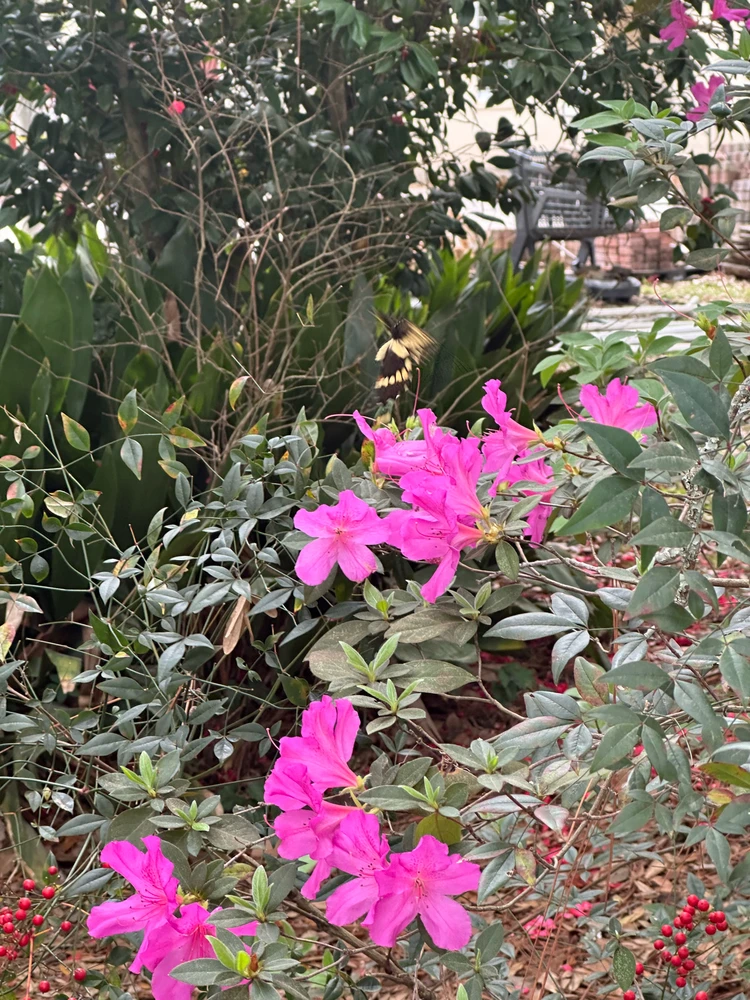 Image uploaded by Christian