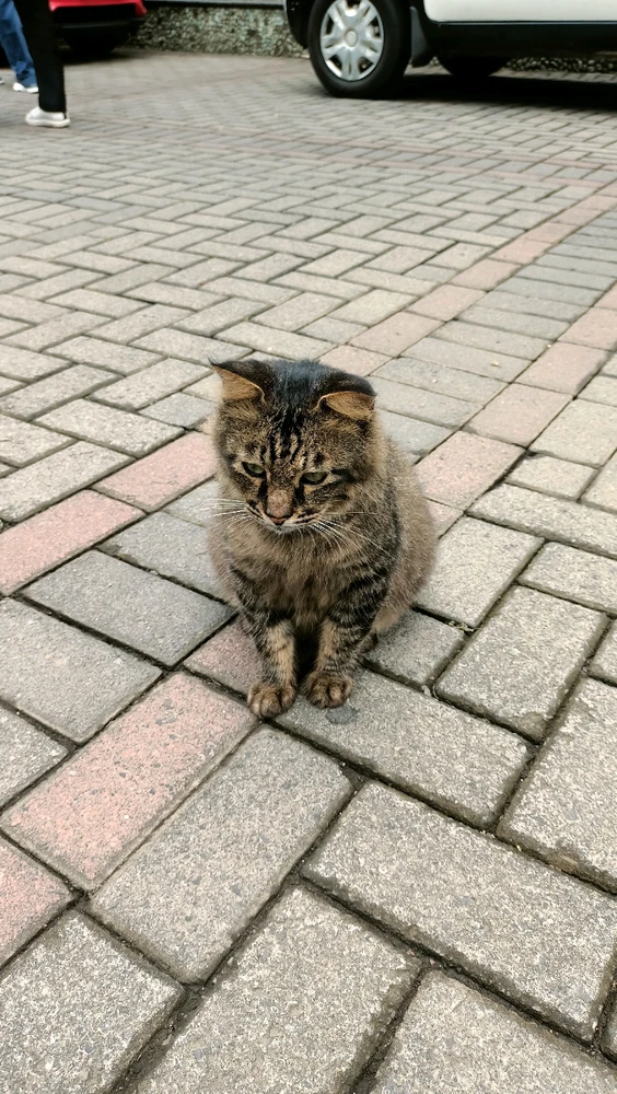 GIF uploaded by narishma