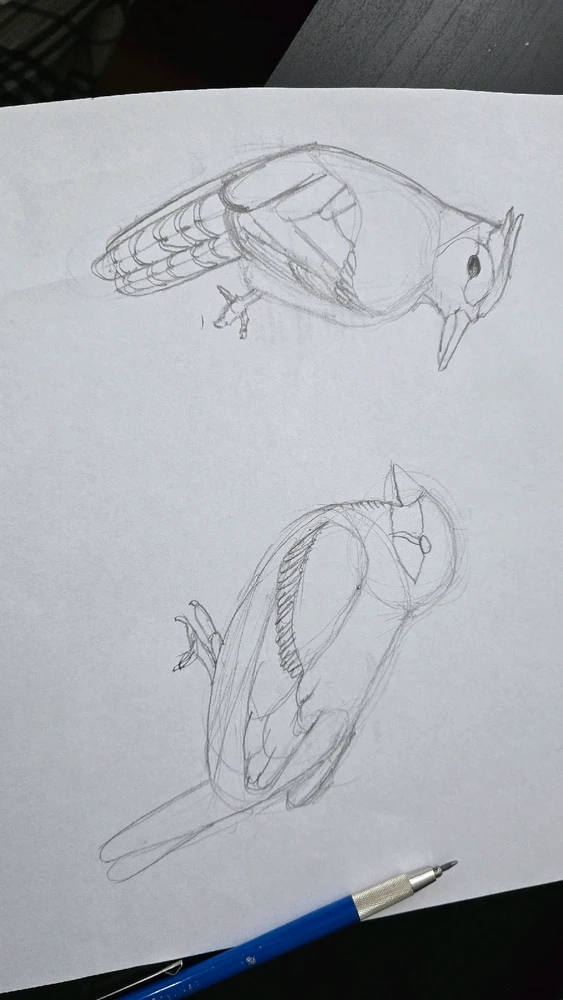 GIF uploaded by Faisal Sarker