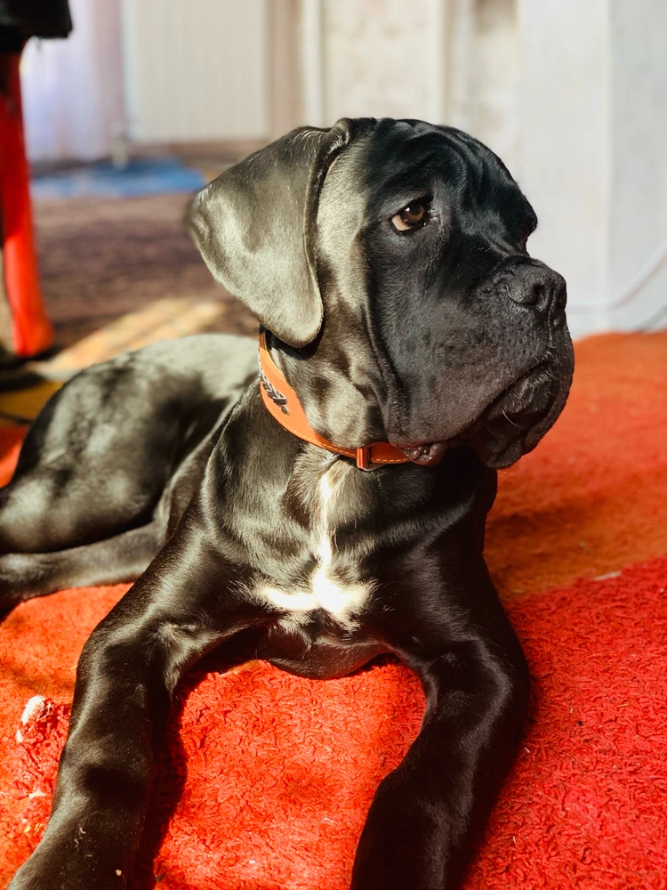 Фото загрузил Лёва