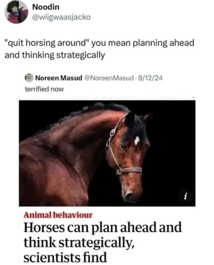 GIF uploaded by Meghna