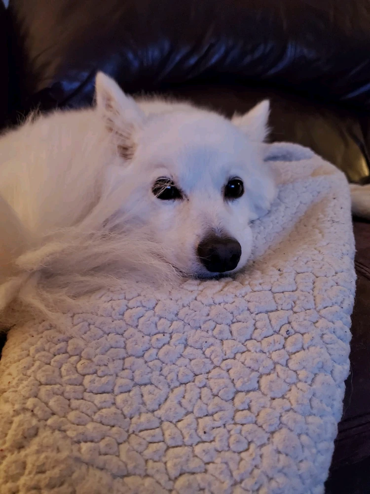 GIF uploaded by Alexander