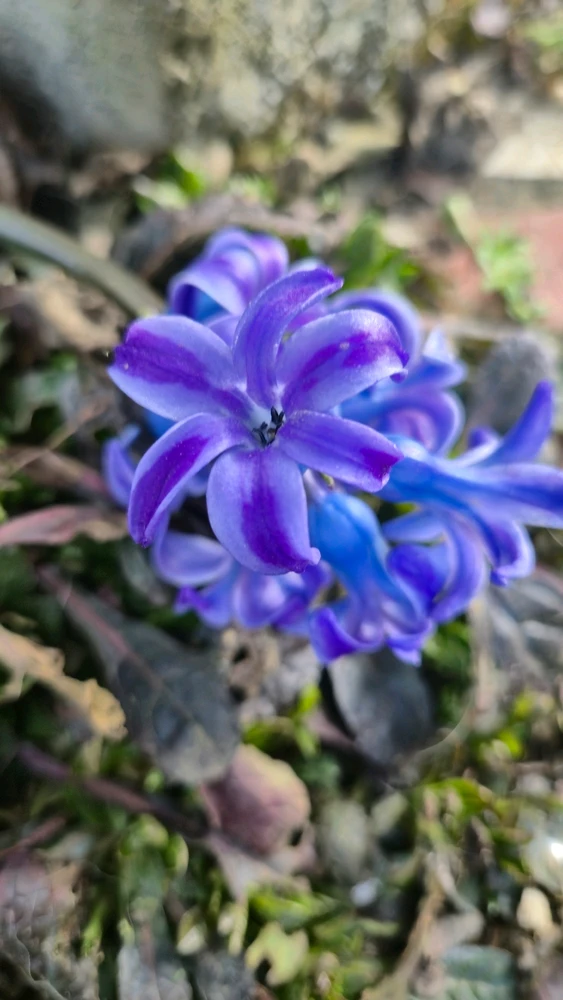 GIF ajouté par Yanaël