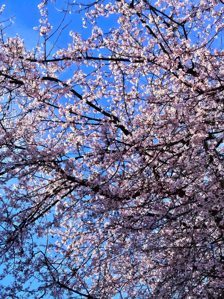 Image uploaded by Maria