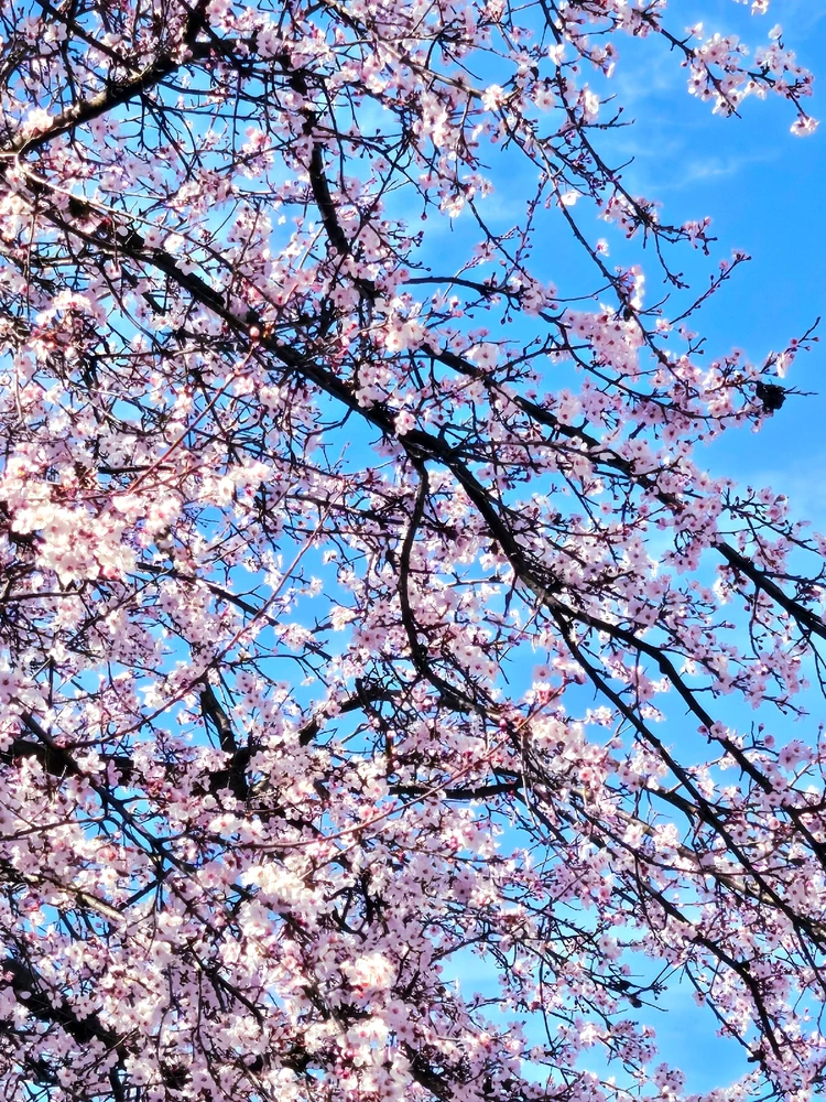 Image uploaded by Maria