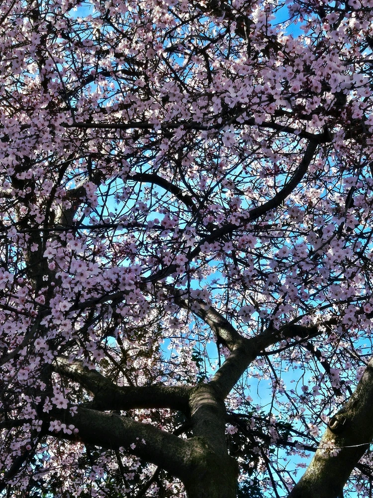 Image uploaded by Maria