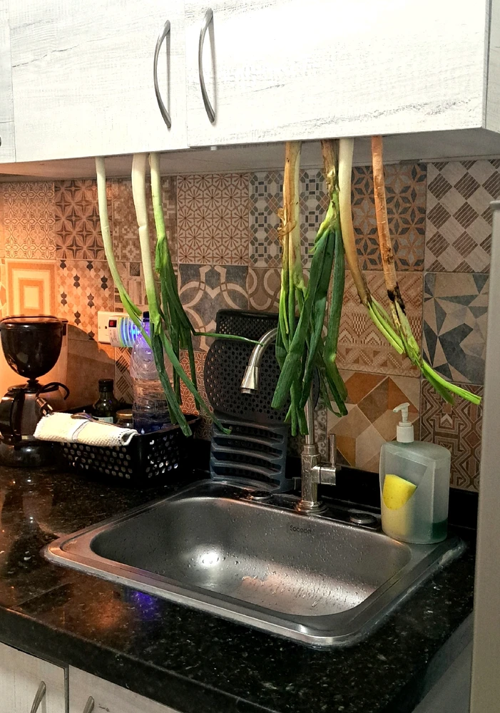 Image uploaded by SouLArmadA