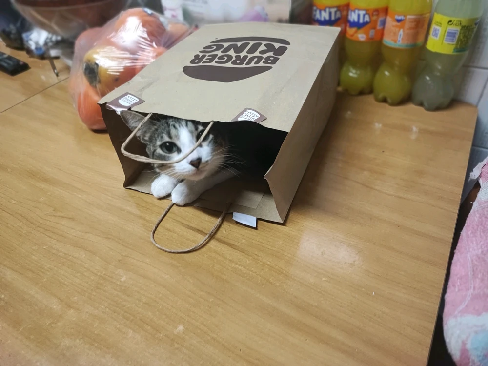 GIF subido por Franz