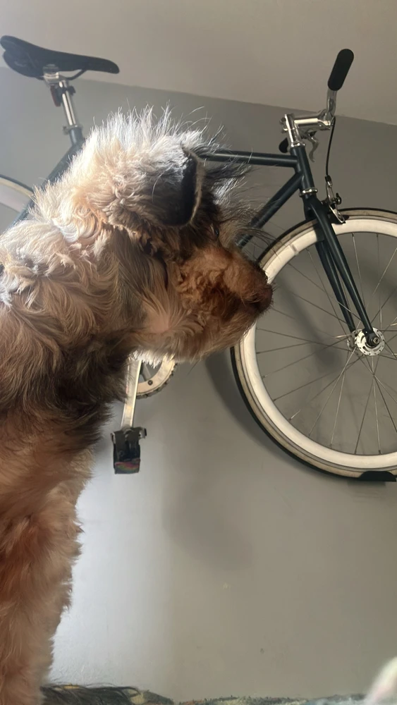 GIF enviado por Robson