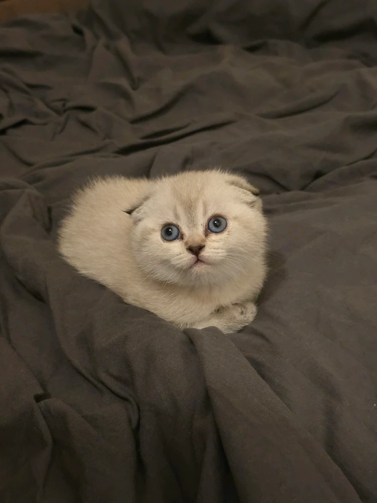 Image uploaded by No Name