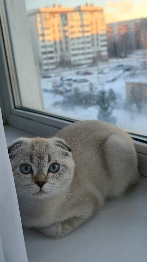 Image uploaded by No Name