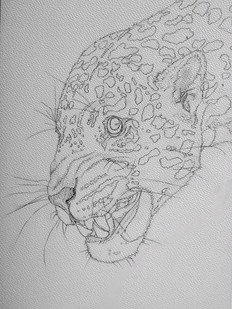 GIF uploaded by Azaziel