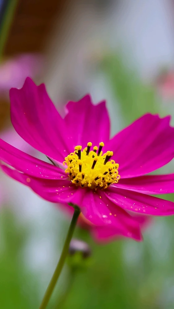 GIF subido por Nicolas