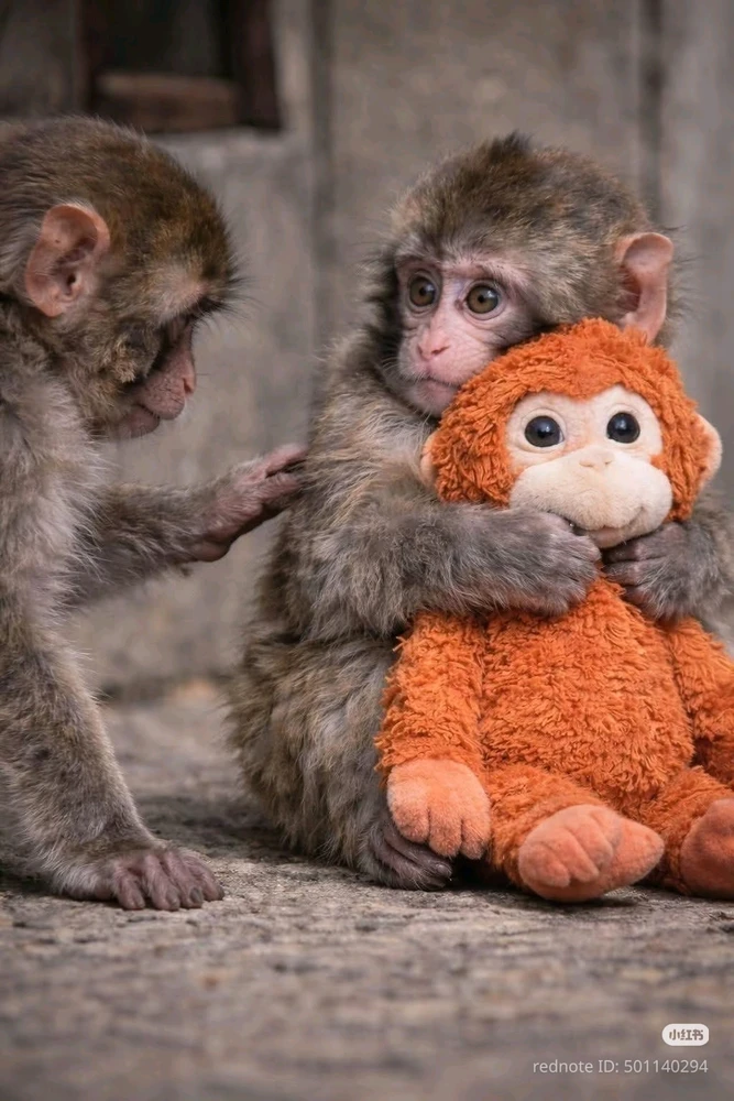 GIF uploaded by Wenhuan