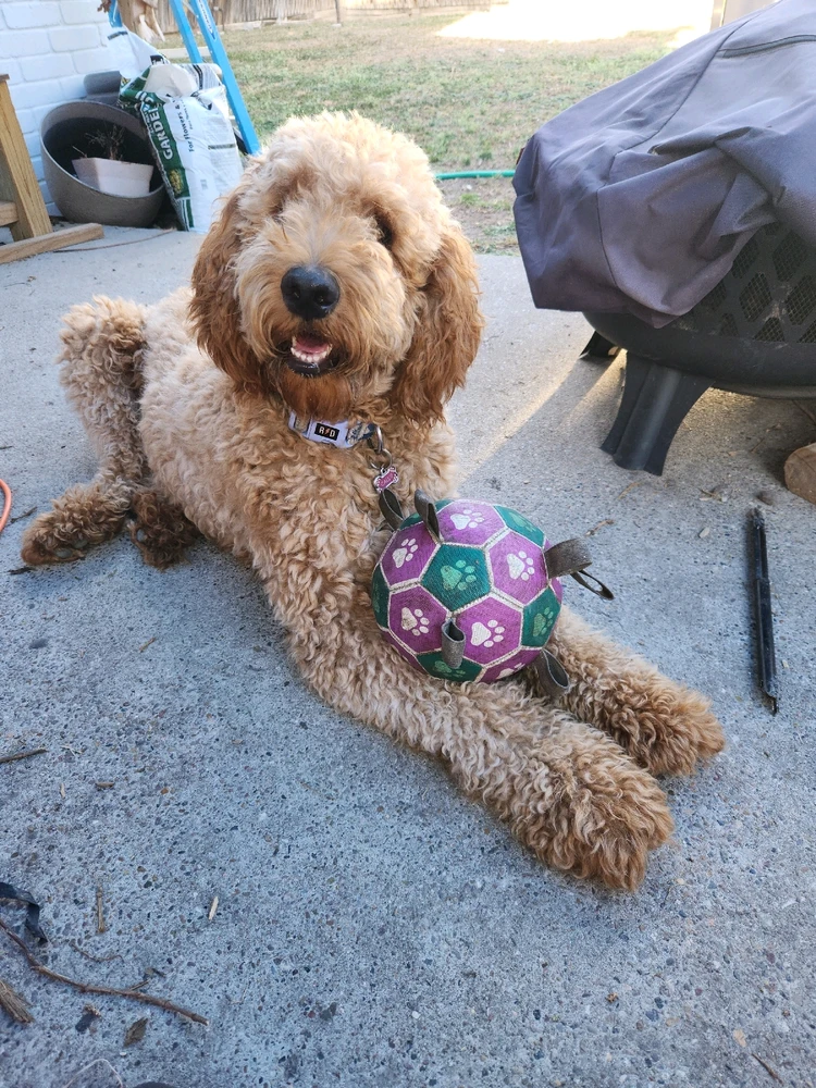 GIF uploaded by MrToeCurler