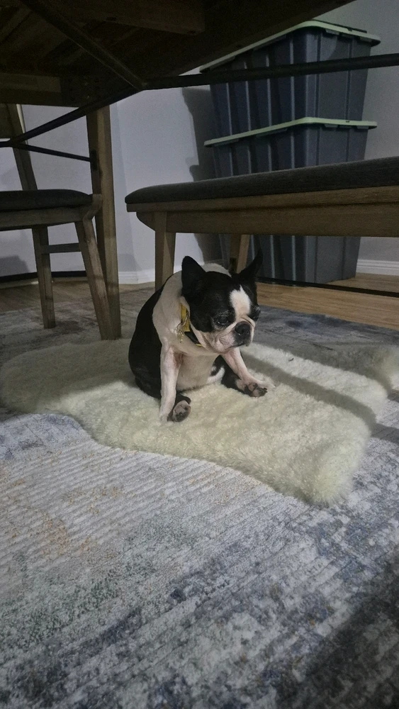 Image uploaded by Carol