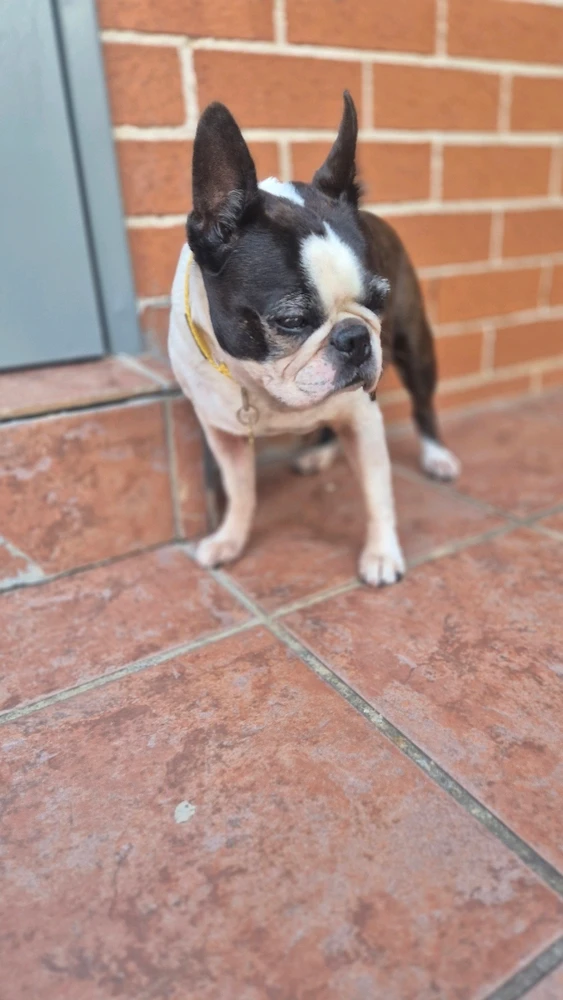 Image uploaded by Carol