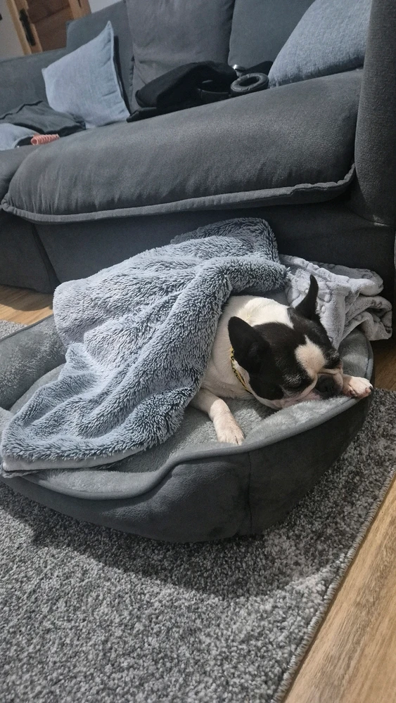 Image uploaded by Carol