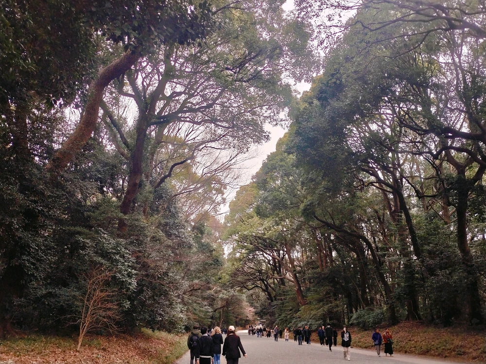 GIF subido por María