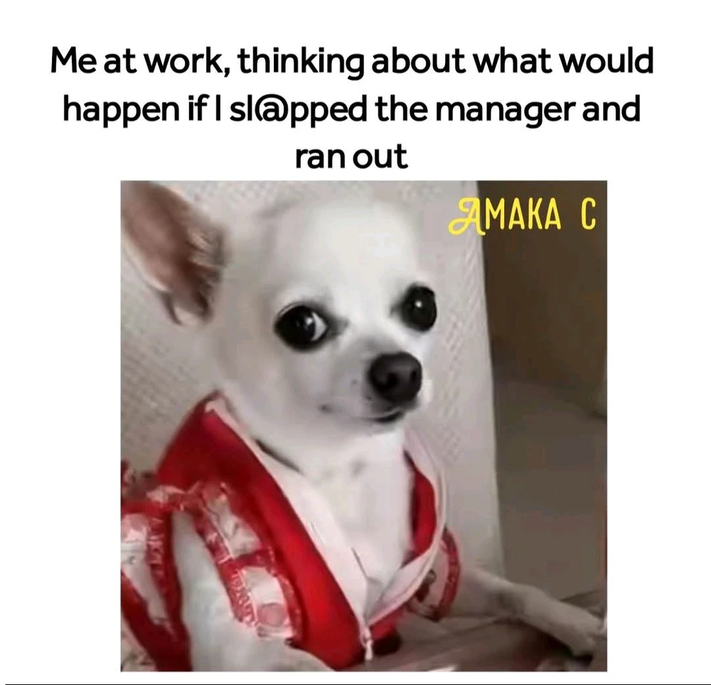 GIF uploaded by Chrif