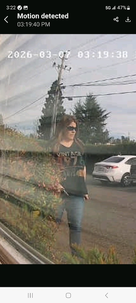 GIF-tiedoston lisäsi Adorable Dork