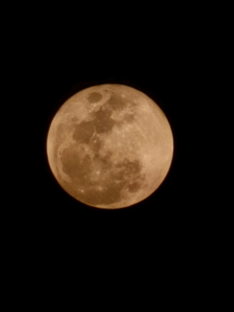 GIF uploaded by Afrin