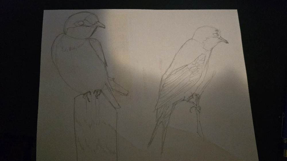 GIF uploaded by Faisal Sarker