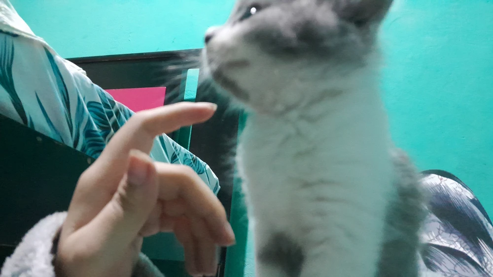 GIF subido por Karen agudelo