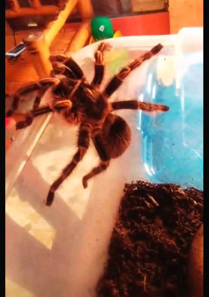 Wanted to have a fresh air