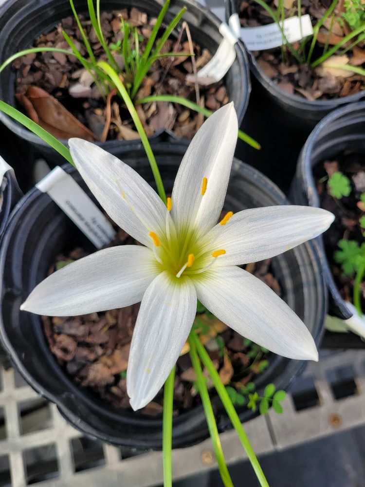 Image uploaded by Madison