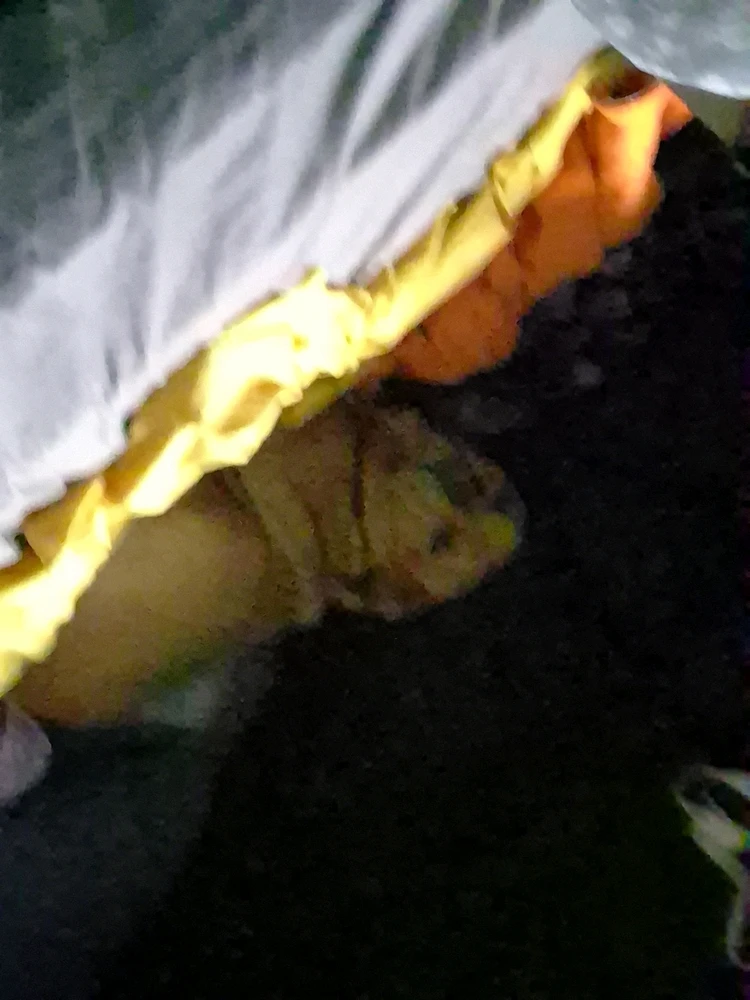 GIF uploaded by Jeremy