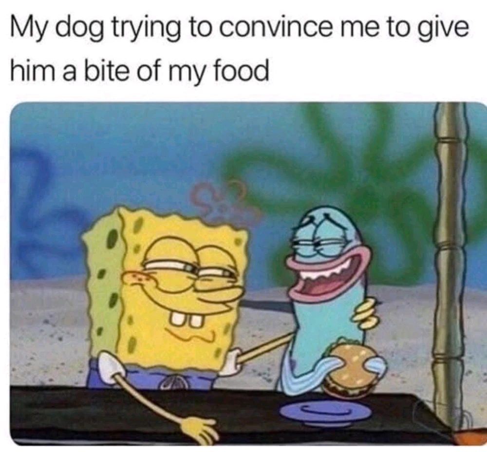 GIF uploaded by Carla