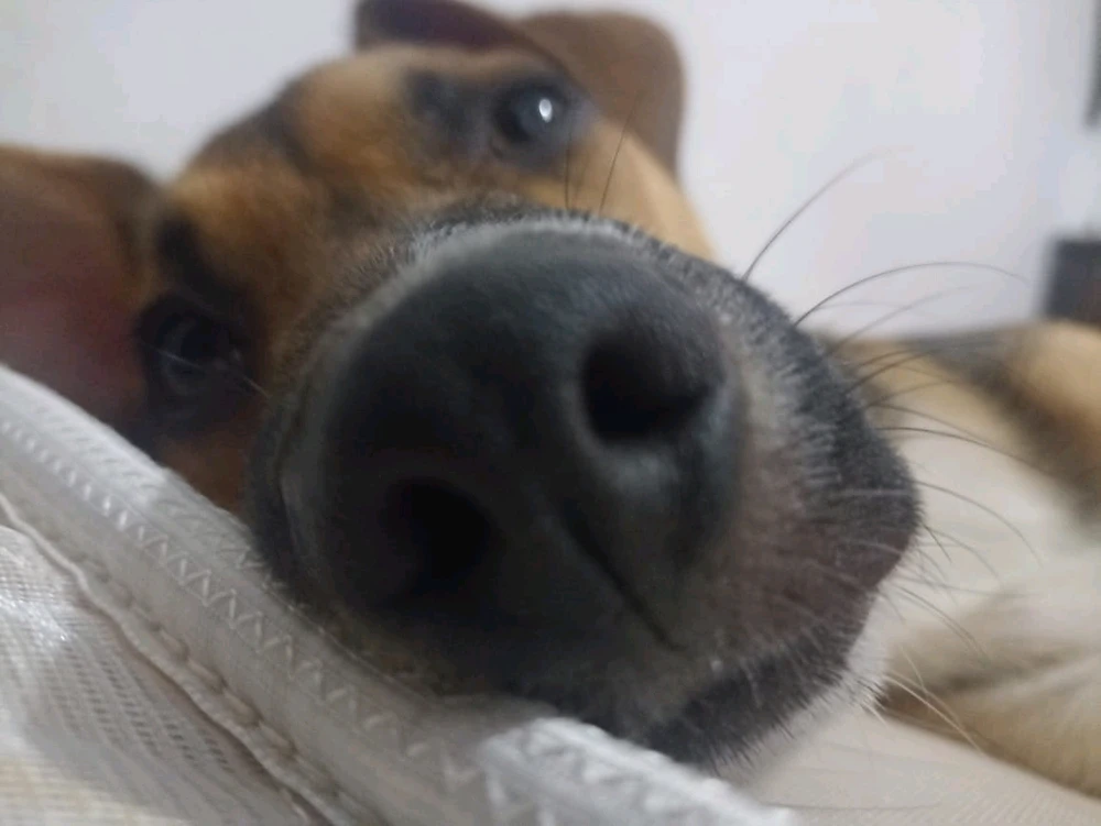 GIF subido por Yokle:D