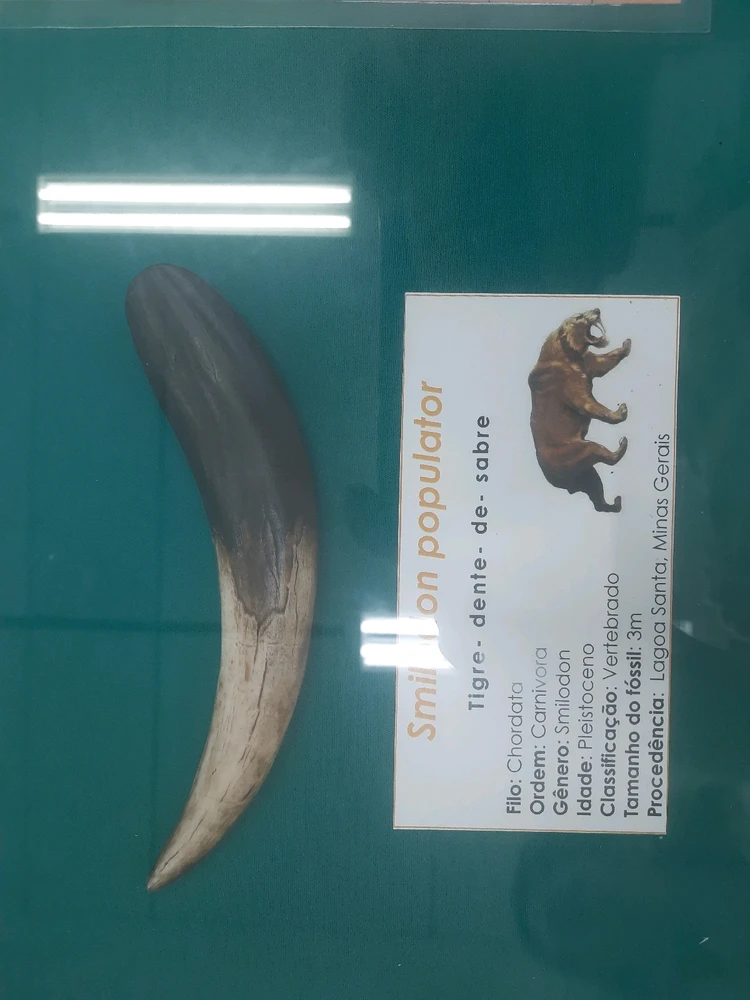 Imagem enviada por Joaquim