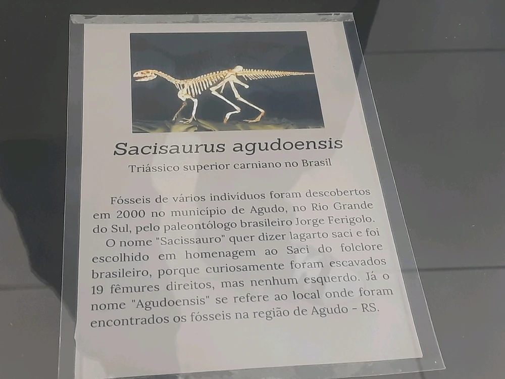 Imagem enviada por Joaquim