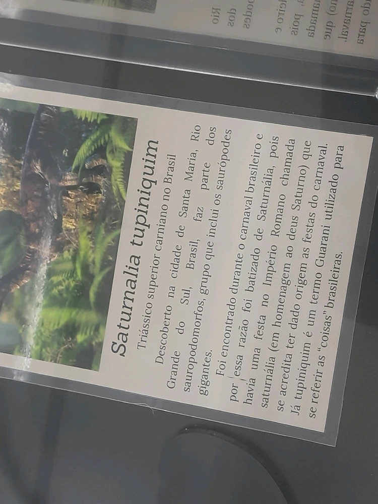 Imagem enviada por Joaquim