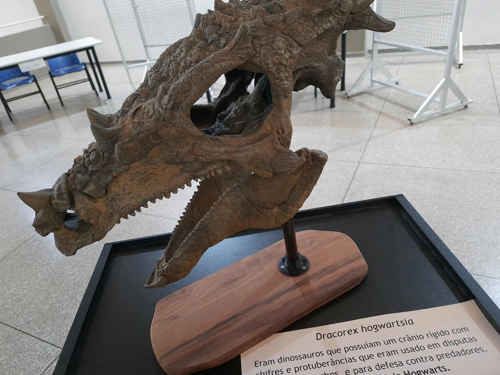 Imagem enviada por Joaquim