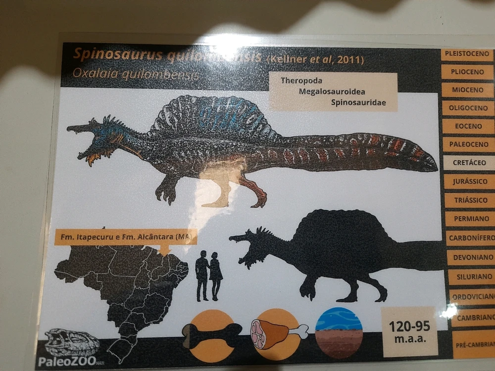 Imagem enviada por Joaquim