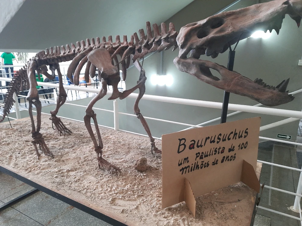 Imagem enviada por Joaquim