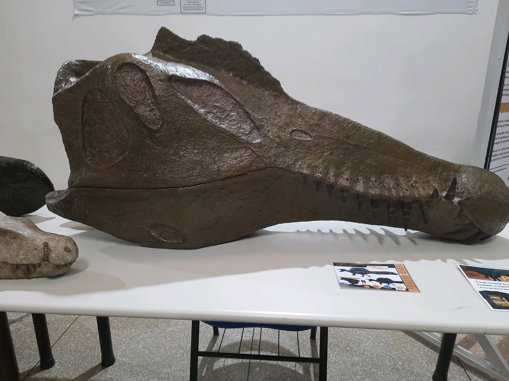 Imagem enviada por Joaquim