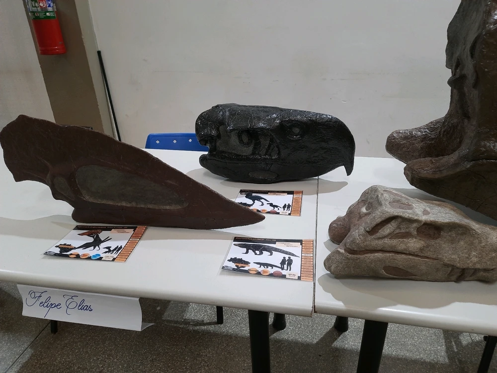 Imagem enviada por Joaquim