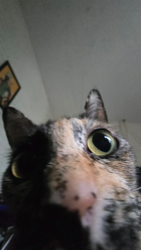 GIF uploaded by Lucas