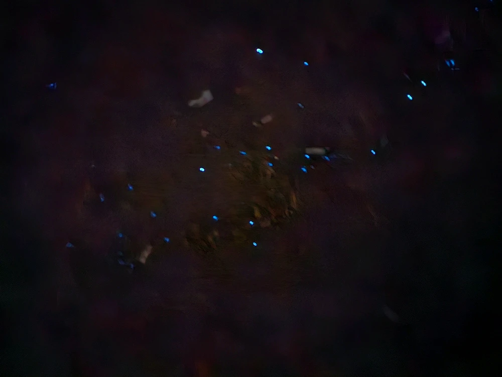 Image uploaded by Afrin