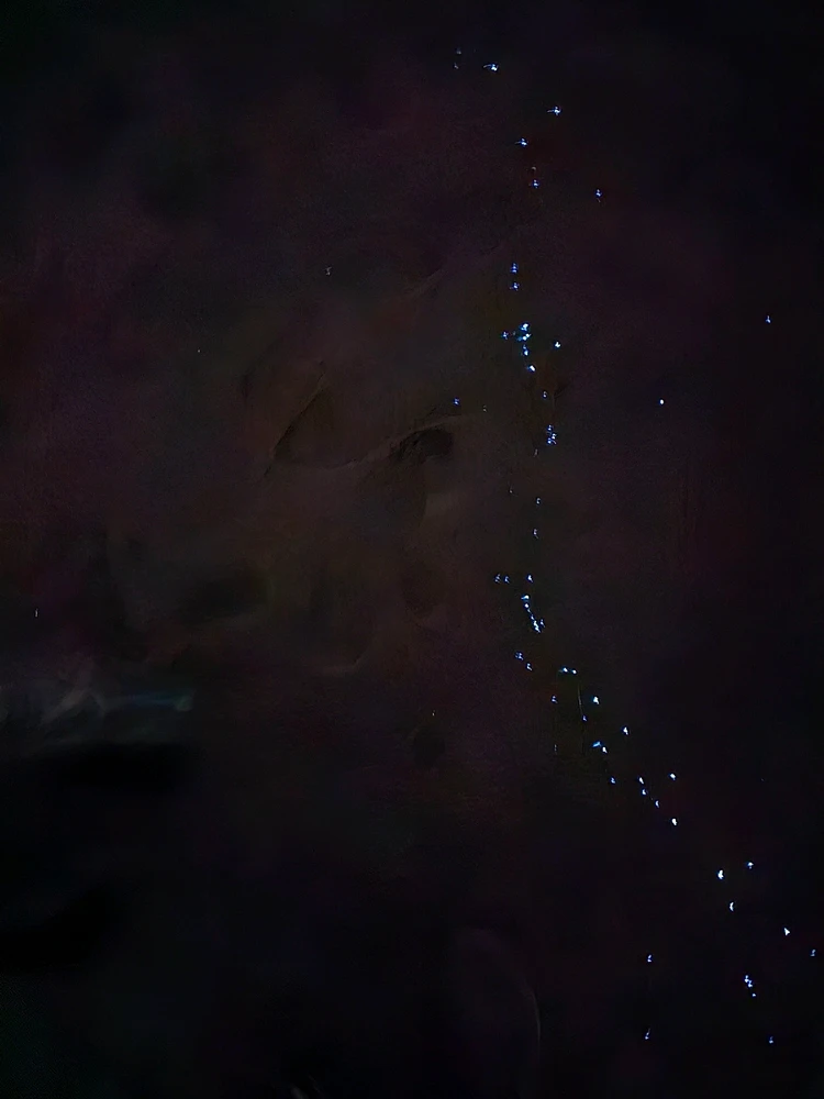 Image uploaded by Afrin