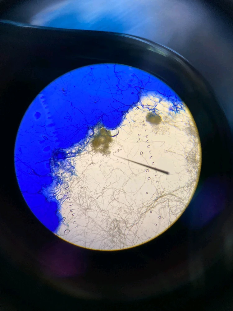 GIF uploaded by Naomi