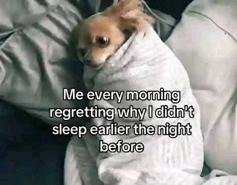 GIF uploaded by Chrif