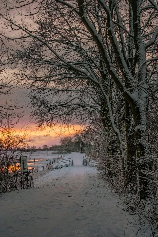 GIF uploaded by Barbara