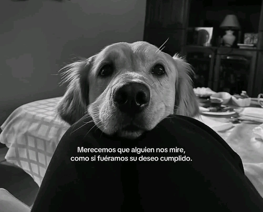 GIF subido por Efimera Lunar Intemporal