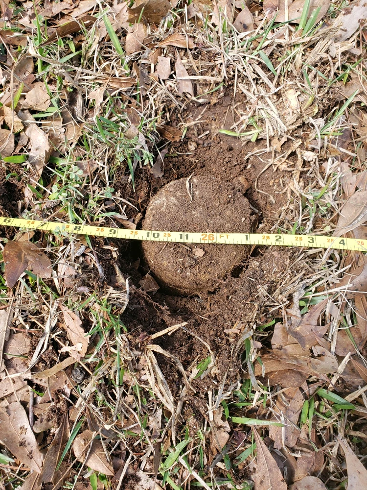 GIF uploaded by Erick