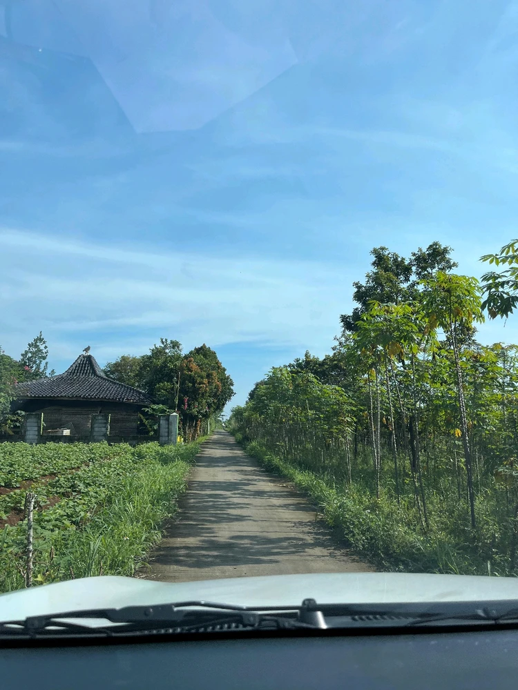 GIF uploaded by fitrimpit